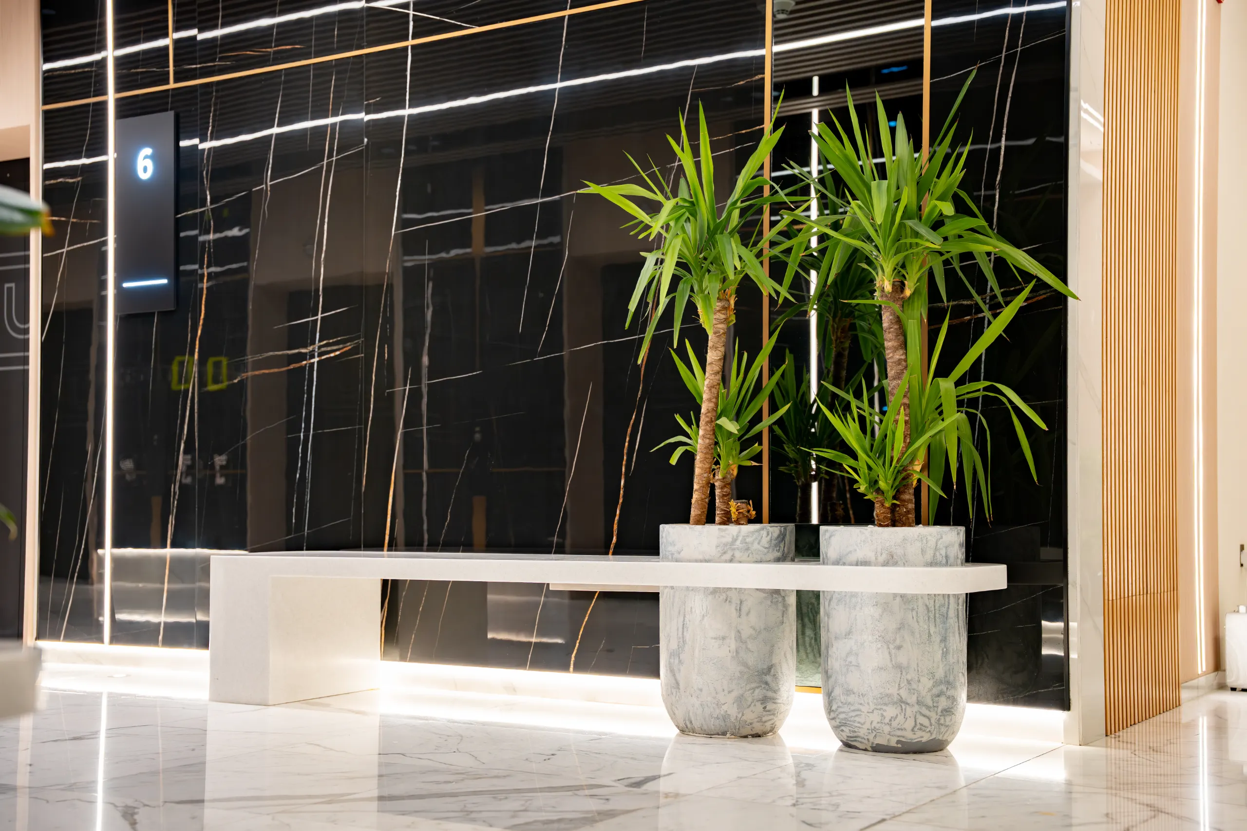 Lobby — Marble Bench & Palms